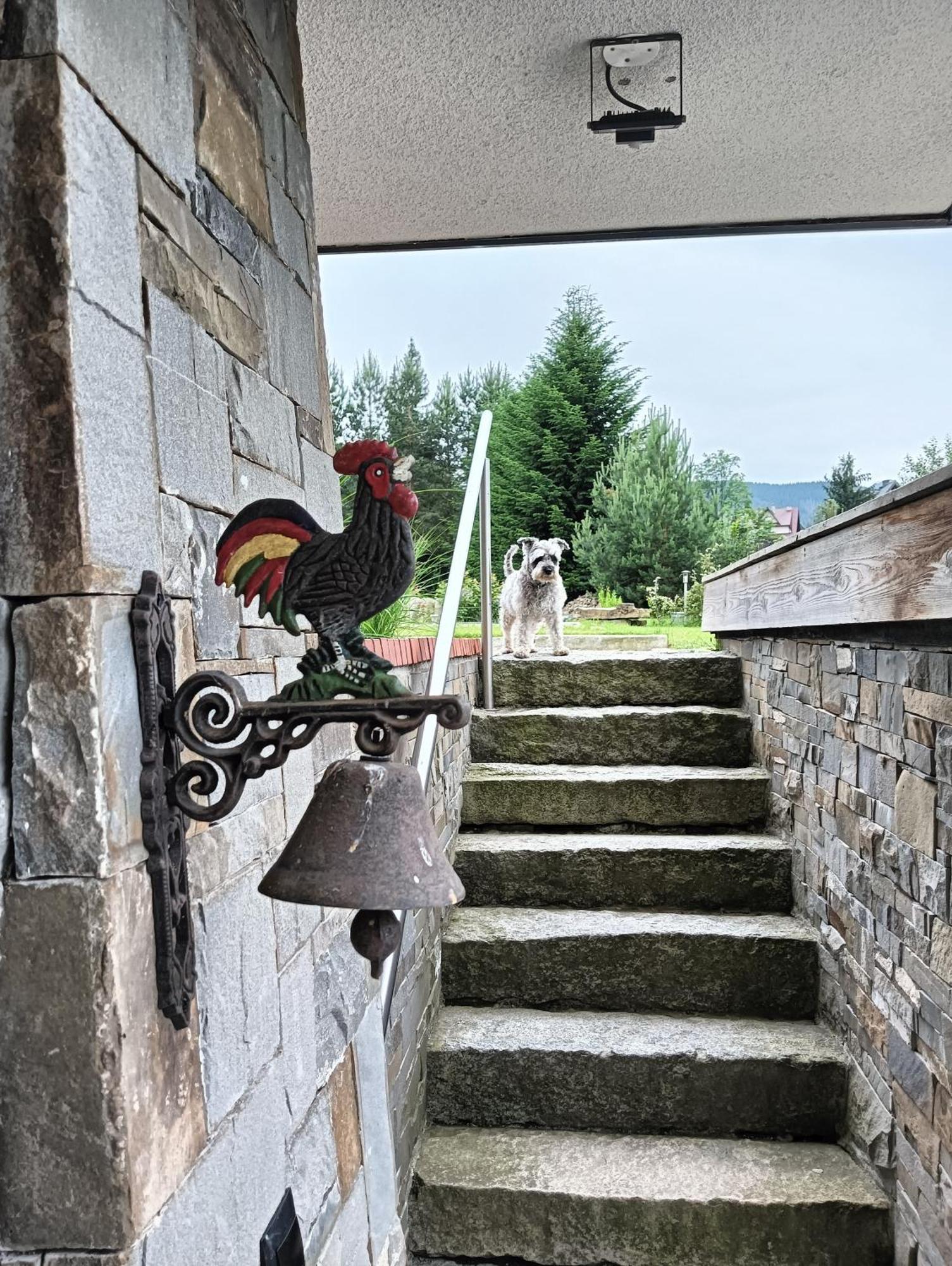 Apartament Nad Stawem Zakopane Exterior photo